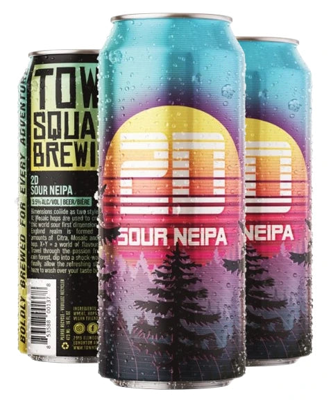 TOWN SQUARE 2D SOUR NEIPA 473ML 4PK CAN