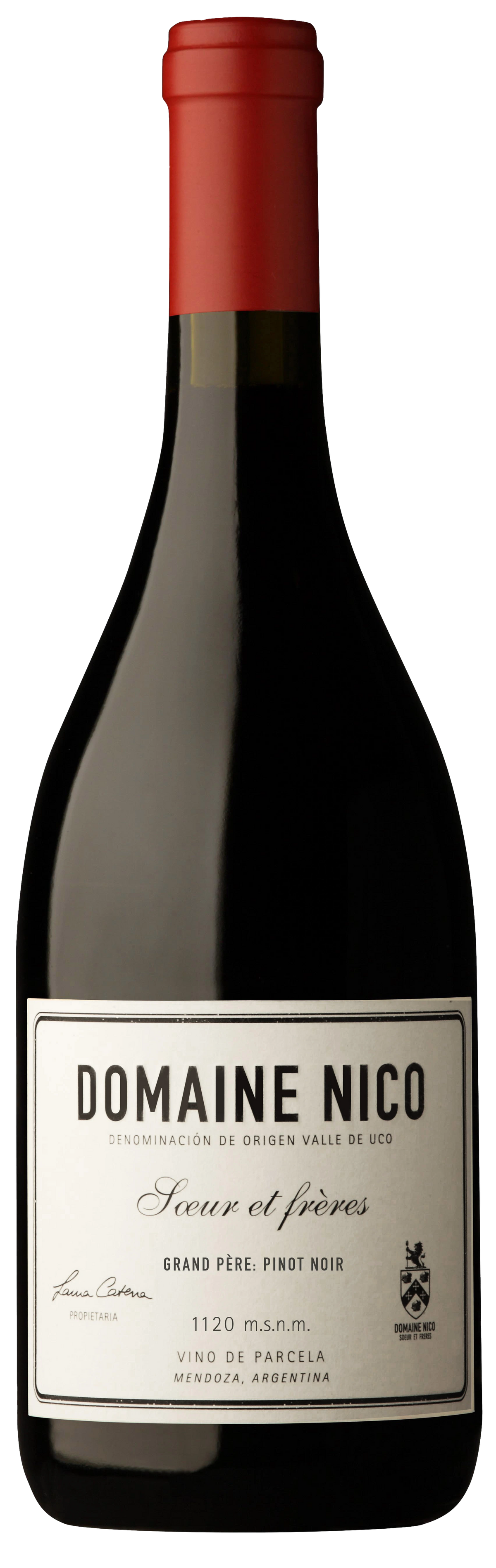 DOMAINE NICO GRAND PERE PINOT NOIR 750ML