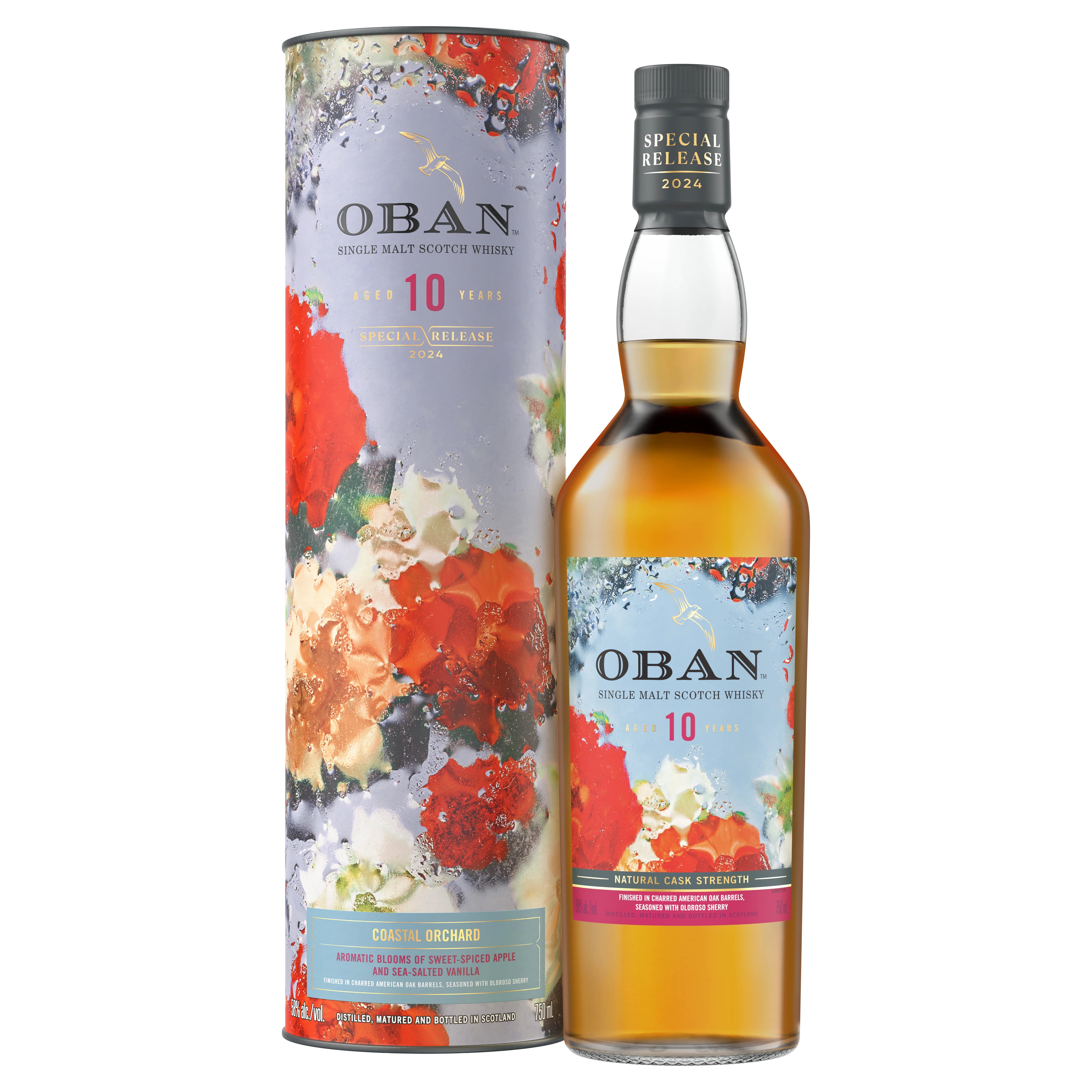 OBAN 10YR 2024 SPECIAL RELEASE SINGLE MALT SCOTCH 750ML