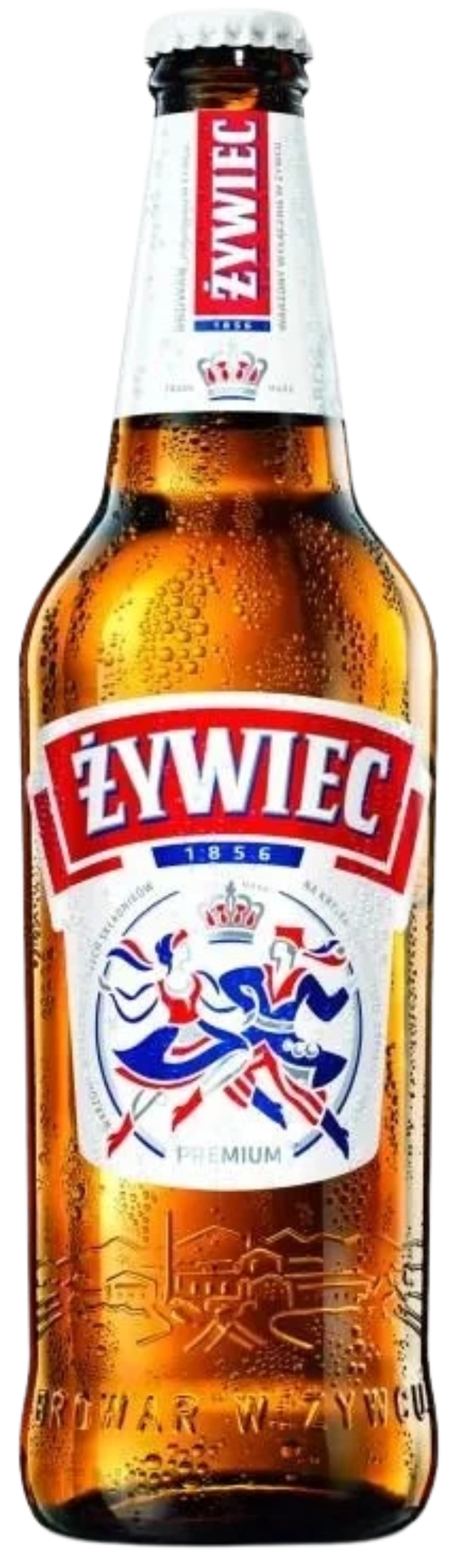 ZYWIEC 500ML BT