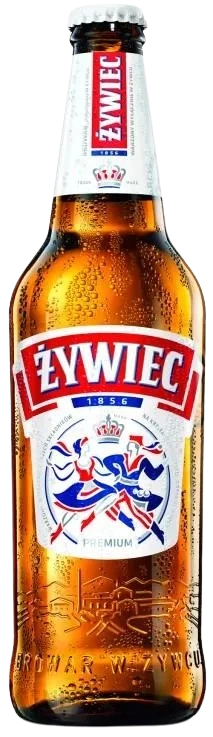 ZYWIEC 500ML BT