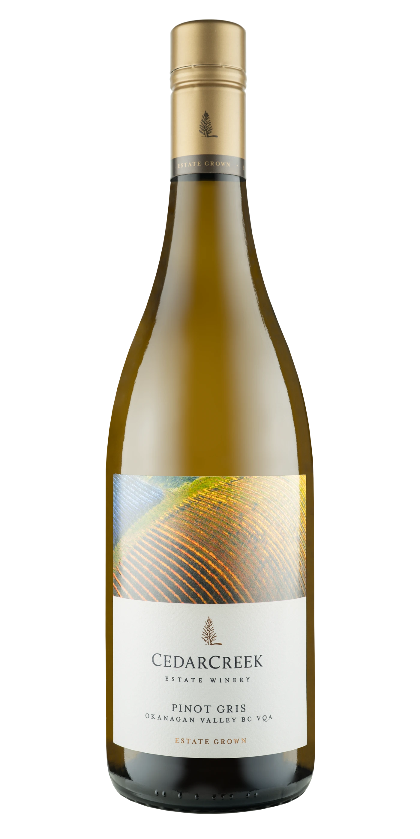 CEDARCREEK PINOT GRIS VQA 750ML