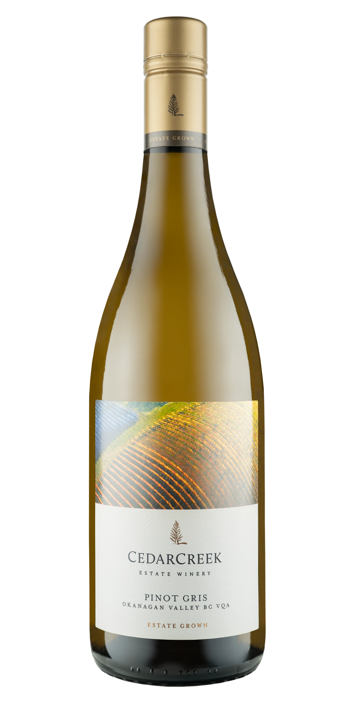 CEDARCREEK PINOT GRIS VQA 750ML @ MacTaggart [1000771]