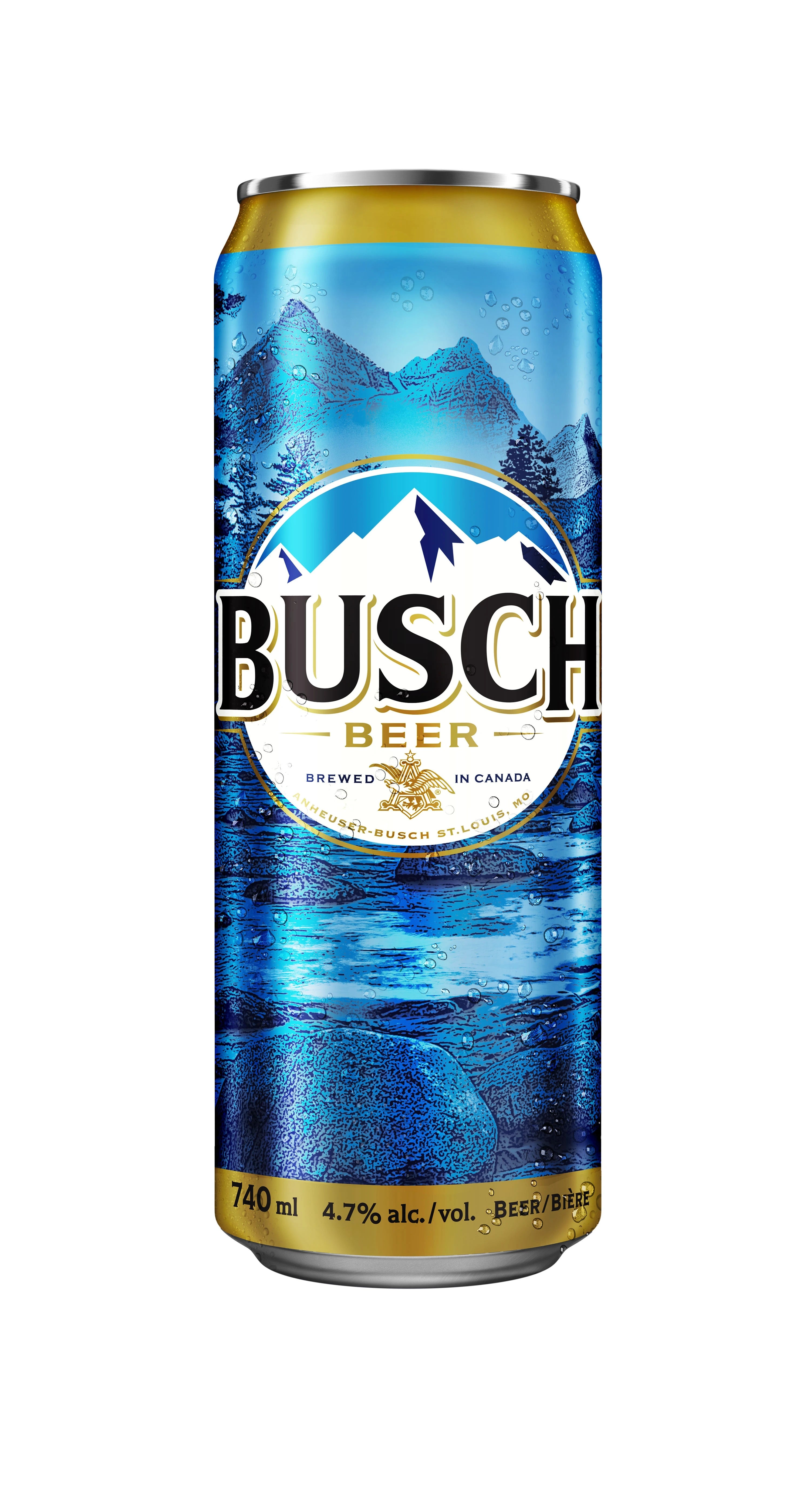 BUSCH 740ML CAN