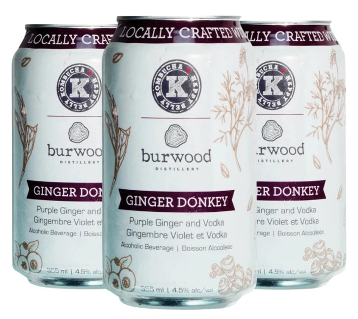BURWOOD GINGER DONKEY KOMBUCHA 355ML 4PK CAN
