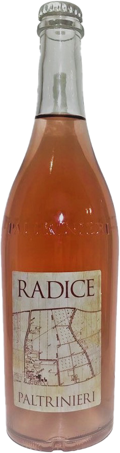PALTRINIERI RADICE LAMBRUSCO DI SORBARA 750ML @ Saskatoon [1014246]