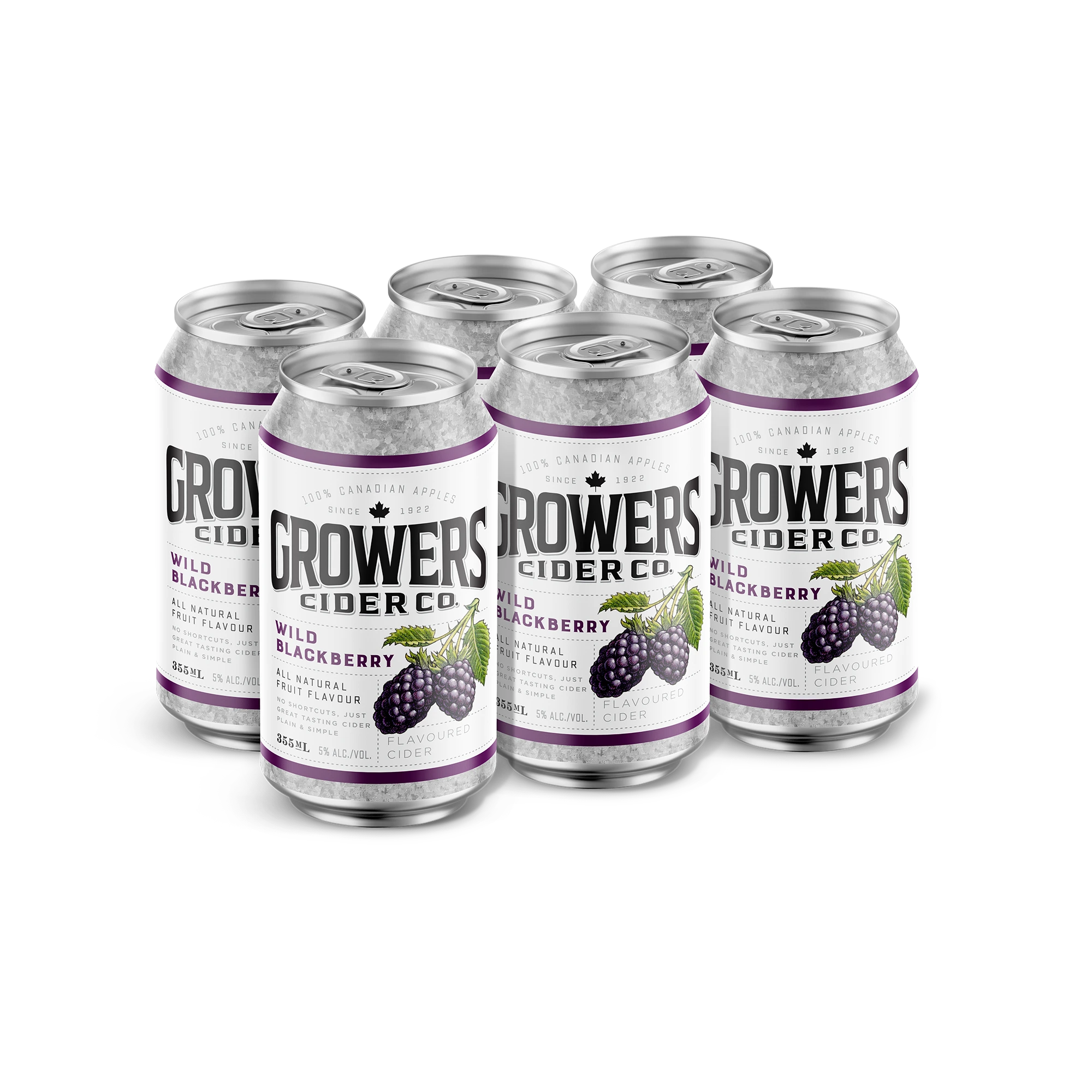 GROWERS WILD BLACKBERRY CIDER 355ML 6PK CAN