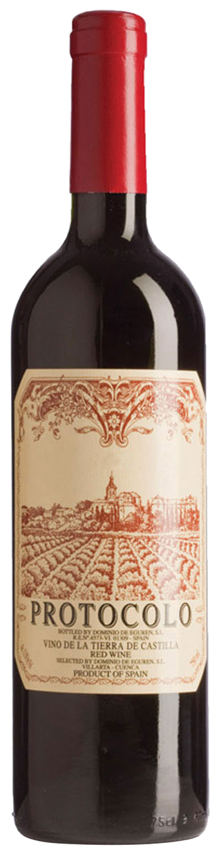 DOMINIO DE EGUREN PROTOCOLO 750ML