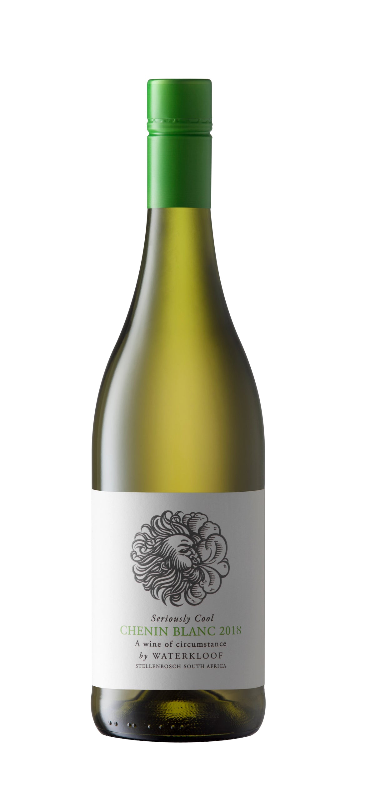 WATERKLOOF SERIOUSLY COOL CHENIN 750ML