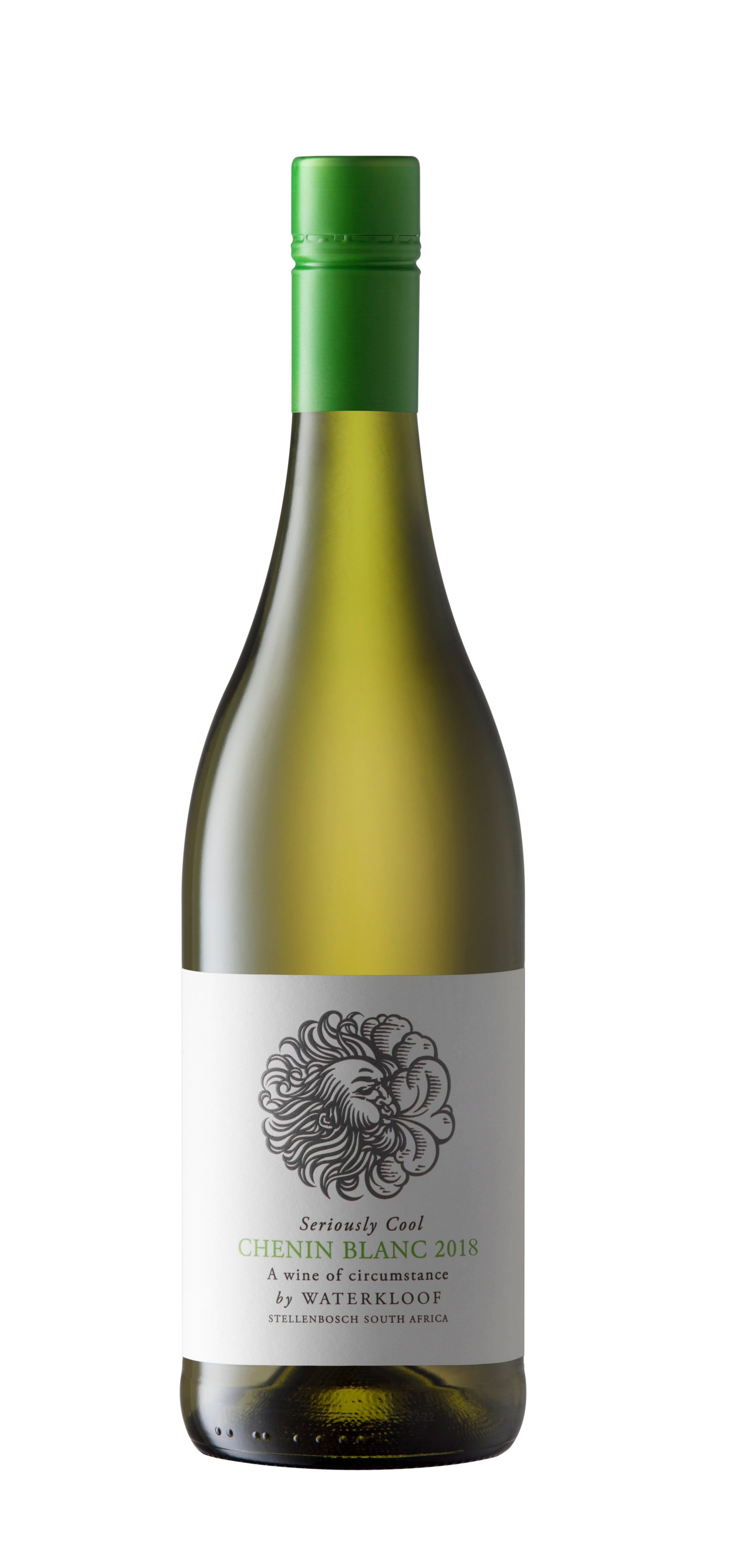 WATERKLOOF SERIOUSLY COOL CHENIN 750ML