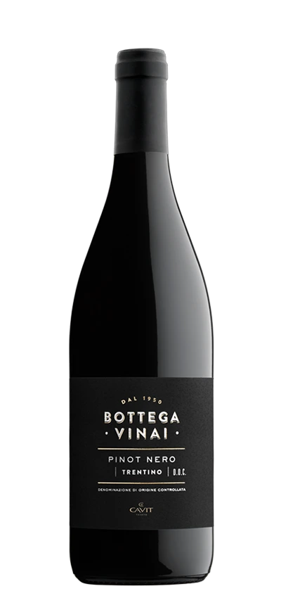 BOTTEGA VINAI PINOT NERO 750ML