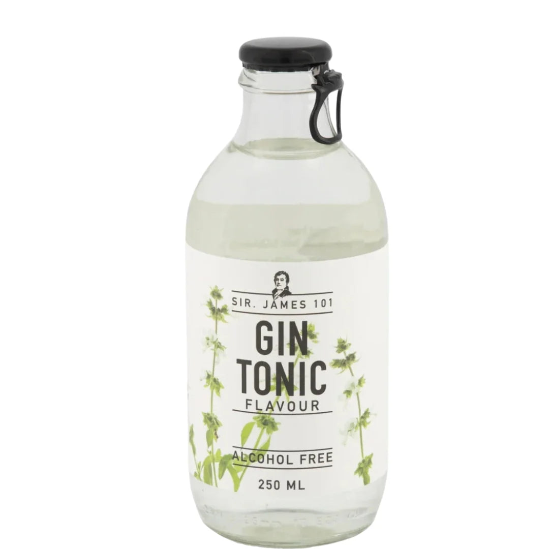 SIR JAMES 101 NON ALC GIN TONIC 250ML