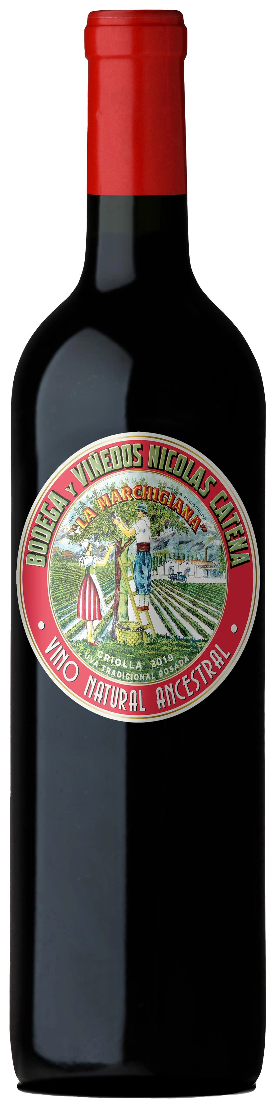 CATENA LA MARCHIGIANA CRIOLLA CHICA 750ML