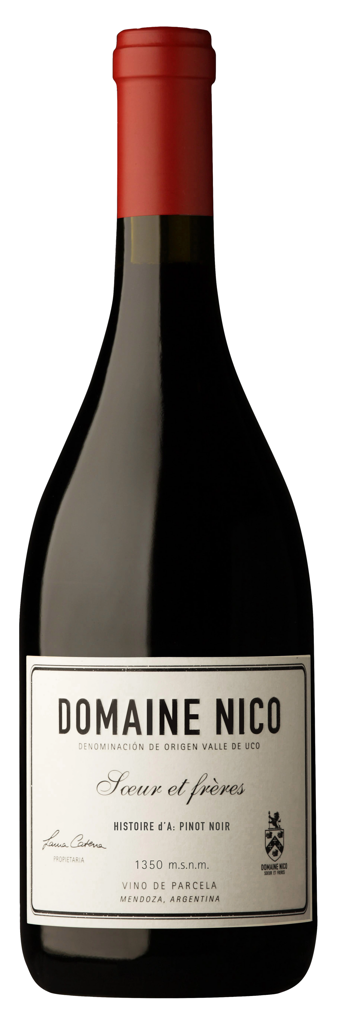 DOMAINE NICO HISTOIRE DA PINOT NOIR 750ML