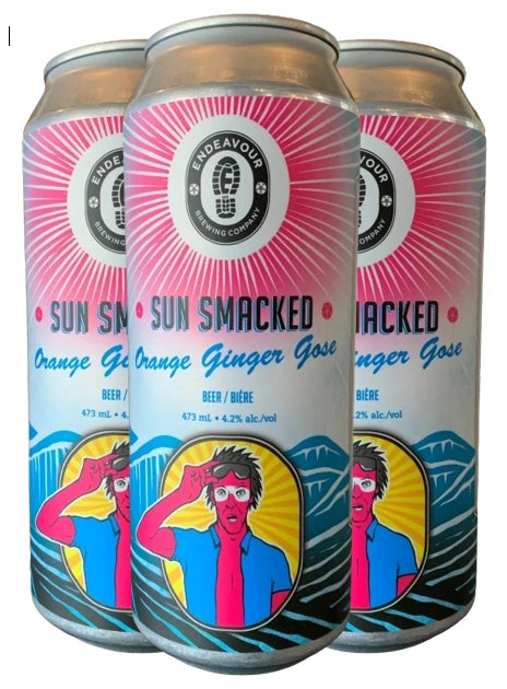 ENDEAVOUR SUN SMACKED GOSE 473ML 4PK CAN