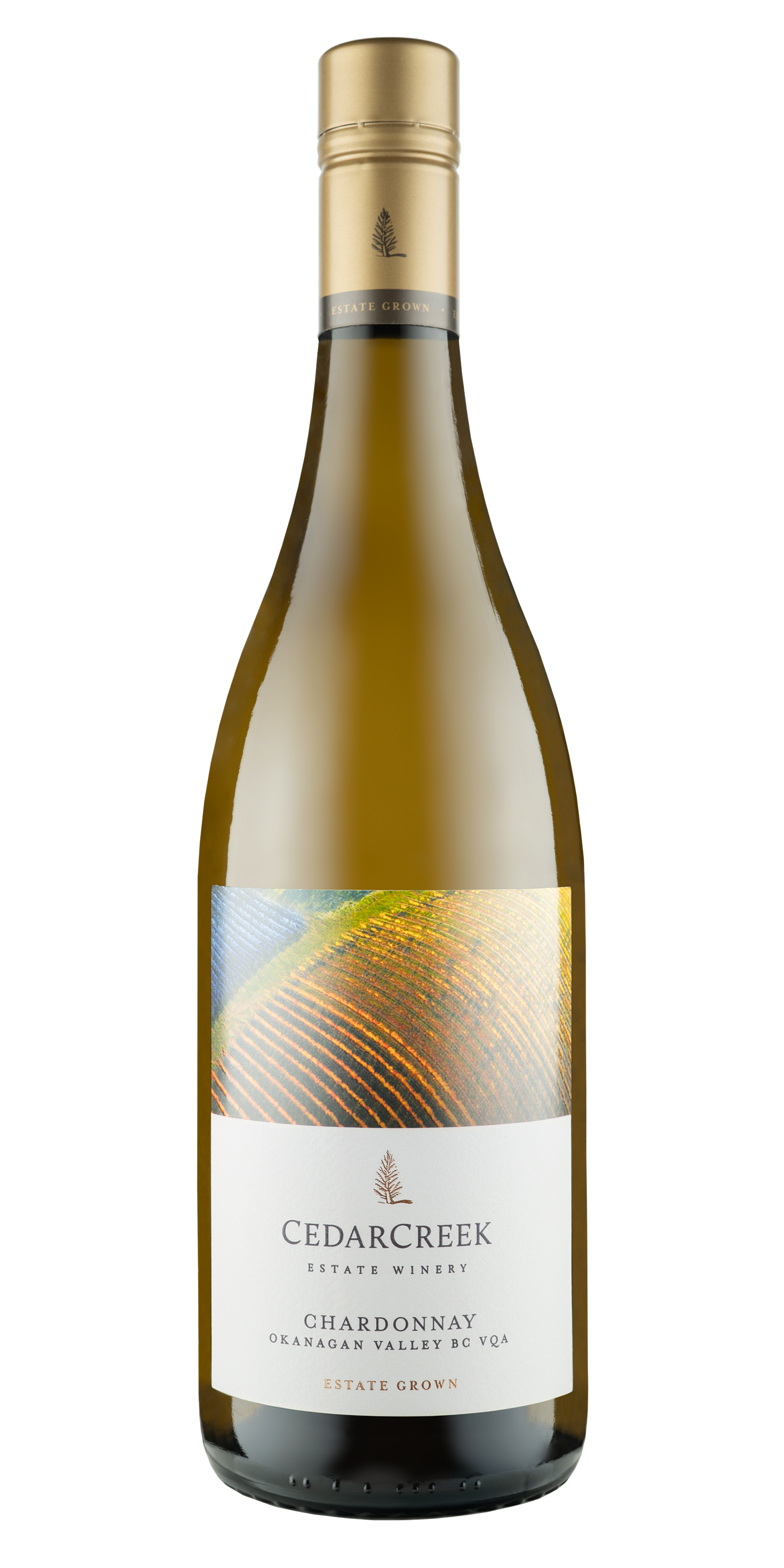 CEDARCREEK CHARDONNAY 750ML @ Kelowna [1008504]