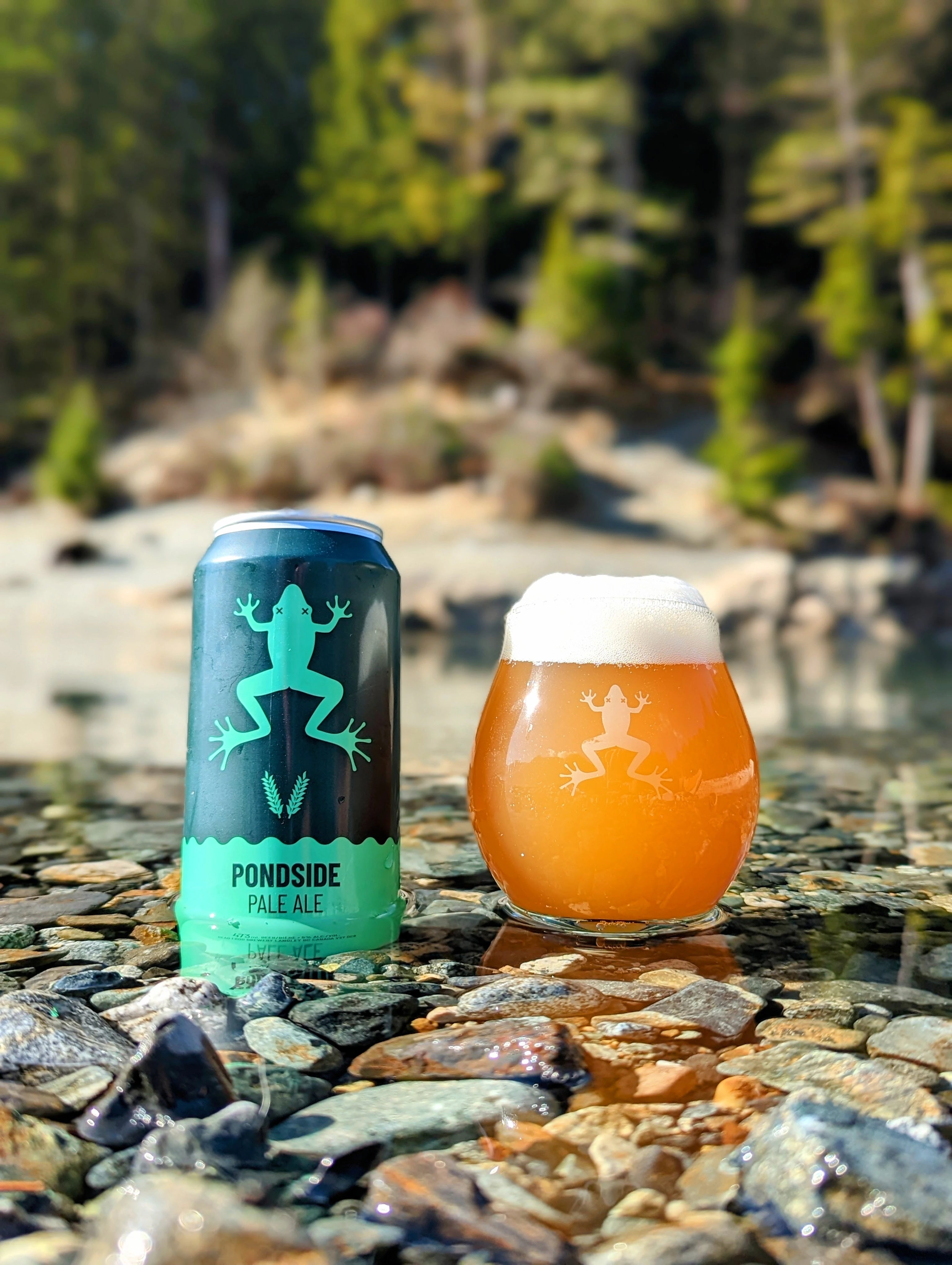 DEAD FROG PONDSIDE PALE ALE 473ML 4PK CAN @ Kelowna [1047407]